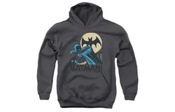 DC Comics Look Out Youth Pull Over Hoodie &sol; Hooded Sweatshirt