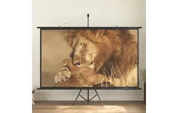 Projection Screen 100" 16&colon;9