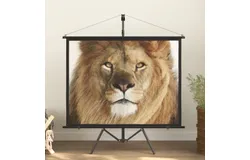 Projection Screen with Tripod 60" 4&colon;3