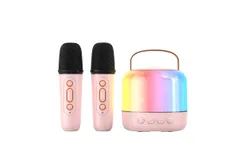 Mini Karaoke Machine for Kids Bluetooth Speaker with  2 Mic-pink