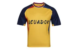 2024 Copa America Jersey Ecuador Soccer Fan Jersey Football Team Uniform Shirt For Men&sol;Women