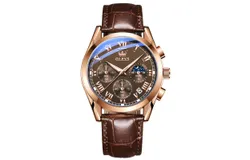 OLEVS Men's Watches -Style A