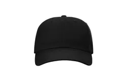 Richardson Sustainable Ashland Dad Hat