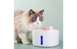 Cat Water Dispenser USB Automatic Pet Water Dispenser Pet Dispenser Smart Pump Cat Dog Dispenser