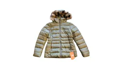 The North Face Women&apos;s Gotham Ii Jacket In New Taupe Green