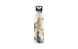 Perico Insulated 25 oz Water Bottle