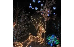 Colorful Firefly - Solar mini LED Christmas lights on Strings