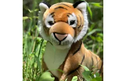 African Tiger Kenya