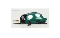 Remote Control Wall Climbing Ladybird Toys&comma; Rechargeable Ladybird Toys -Green