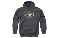 Superman Take Wing Youth Pull Over Hoodie &sol; Hooded Sweatshirt