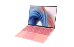 2025 N5095 Laptop，14&period;1 Inch，16GB RAM 1TB SSD&comma; Pink（New）