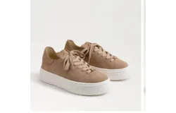 Sam Edelman Pippy Lace Up Platform Sneaker In Taupe Suede