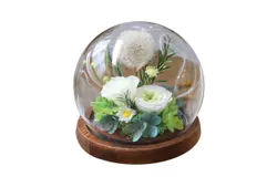 Mixed Color Roses Preserved Real Flower in Glass Dome - Real Rose Gift for Her - Forever Gift for Valentines Day&comma; Mothers Day&comma; Birthday&comma; Anniversary&comma; Wedding&comma; Thanksgiving &lpar;Mixed White&rpar;
