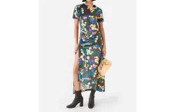 Anim Philipa Dress In Floral