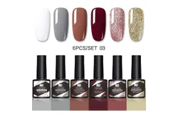 Oneid Gel Nail Polish Set&comma; 6Pcs Gel Nail Polish&comma; Nail Set 6 Colors（A03）
