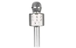 Microphone for Kids Karaoke Singing Microphone,Silver