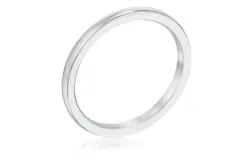 IPG Stainless Steel Wedding Band