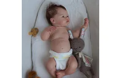 NPK Reborn Baby Dolls&comma;Meadow，49cm Full Silicone Body&comma; Girl