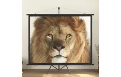 Projection Screen with Tripod 100" 4&colon;3