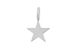 Silver Samara Charm by eklexic