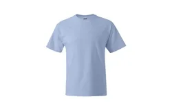 Hanes Beefy-T T-Shirt