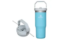 STANLEY 30oz Stainless Steel Vacuum Insulated Mug for Water&comma; Iced Tea or Coffee lake blue New