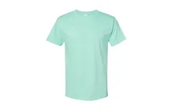 Hanes Essential-T T-Shirt
