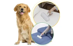 Reuseable Hair Remover - Pet Hair Roller for Cat&comma; Couch&comma; Furniture&comma; Carpet and Bedding&comma; Portable Lint Rollers - Perfect Dog Fur Remover Tool
