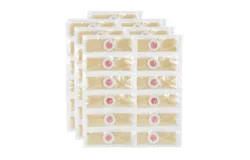 36Pcs&sol;Box Foot Corn Removal Plaster with Hole Warts Thorn Patch Feet Callus Remove Soften Skin Cutin Sticker Cure Toe Protector