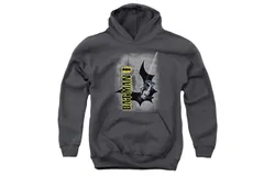 Batman Swing Into Action Youth Pull Over Hoodie &sol; Hooded Sweatshirt