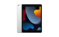 Apple iPad &lpar;9th Generation&rpar;&colon; 256GB– Silver&lpar;Renewed&rpar;