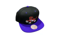 Mitchell & Ness Men&apos;s Nba Hwc Toronto Raptors Lotto Pick Snapback Cap In Black&sol;purple