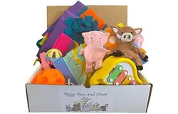 Pig Box Pet Box Bundle of Toys Gift Box