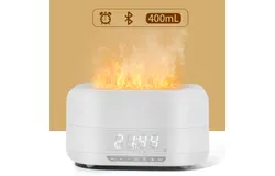 Diffused incense humidifier&period; The European Union has a role to play in this respect&period;