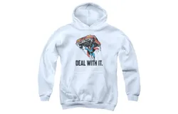 DC Comics Deal With It Youth Pull Over Hoodie &sol; Hooded Sweatshirt
