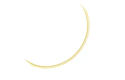 3&period;0 mm 14k Two Tone Gold Reversible Omega Necklace