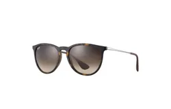 Original Ray Ban 0RB4171 865-1354 Erika Mens Sunglasses