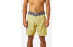 Katin Mache Trunk In Lime
