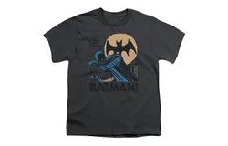 DC Comics Look Out Short Sleeve Youth Tee &sol; T-Shirt