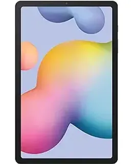 Samsung Galaxy Tab S6 Lite 10.4-pulgada, 64GB WiFi Tablet Oxford Gray - SM-P610NZAAXAR - S Pen Incluido (Renovado)
