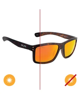 Solize Oh Aaron - Marrón a Marrón Oscuro por DelSol para Hombre - 1 Par de Gafas de Sol