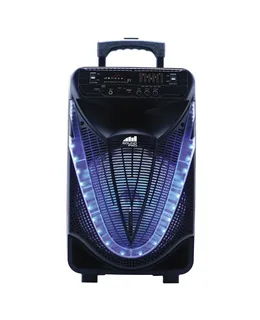 Altavoz Porttil Bluetooth de 12 Pulgadas para Fiesta con Luz Disco (NDS-1233)