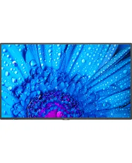 Monitor Profesional Ultra Alta Definición NEC 75" - 75" LCD - Rango Dinámico Alto (HDR) - 3840 x 2160 - LED Directo - 500 Nit - 2160p - HDMI - USB - Ethernet Serie