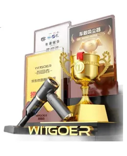 Aspirador de coche portátil WITGOER