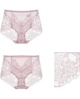 TANGA Lencería de encaje sexy para mujer, bragas sin costuras, talla grande
