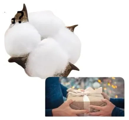 Conjunto de ropa interior de otoño para mujeres LangSha de mediana edad y mayores, ropa interior térmica de punto de algodón puro, conjunto de capa base antibacteriano antiácaro 7A