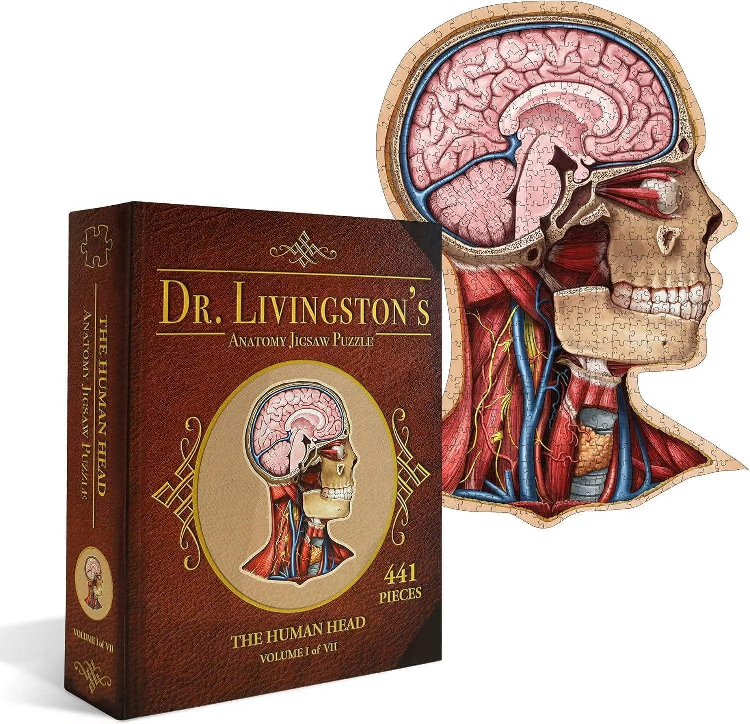 Human Anatomy Kids Floor Puzzle - Dr Livingston Jr's 100-Piece Full Body